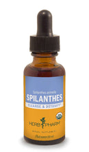spilanthes herb pharm