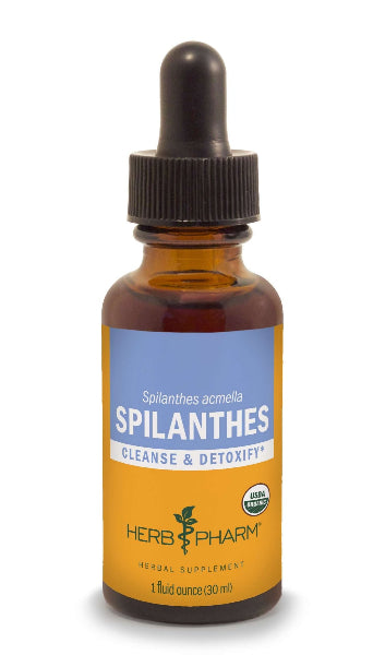 spilanthes herb pharm
