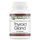 thyroid gland vinco