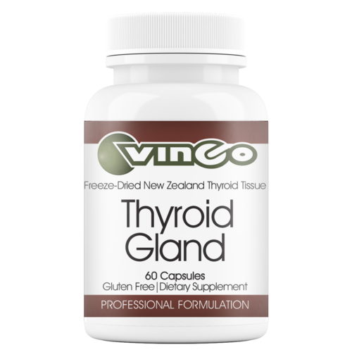 Thyroid Gland (Vinco) Front