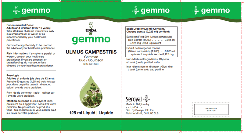 Ulmus Campestris 125 ml (UNDA) label