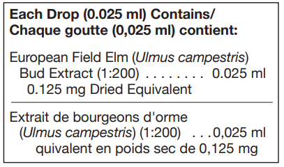 Ulmus Campestris 125 ml (UNDA) ingredients