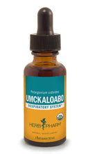 umckaloabo herb pharm