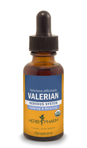 valerian herb pharm