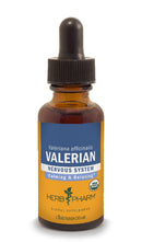 valerian herb pharm