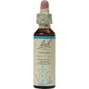 vervain flower essence (nelson bach)
