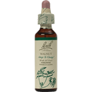 walnut flower essence (nelson bach)