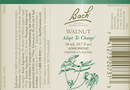 buy walnut flower essence (nelson bach)