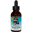 wellness herbal kids alcohol free source naturals