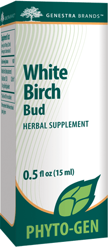 White Birch Bud Genestra