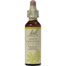 white chestnut flower essence (nelson bach)