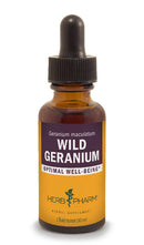 wild geranium herb pharm