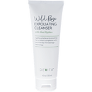 Wild Rose Exfoliating Cleanser (Devita Skincare)