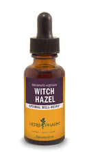 witch hazel herb pharm