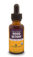 wood betony herb pharm