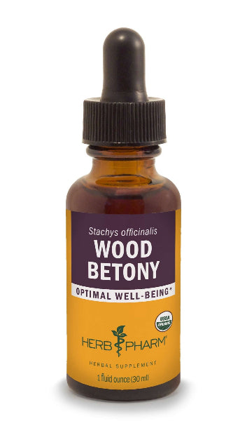 wood betony herb pharm