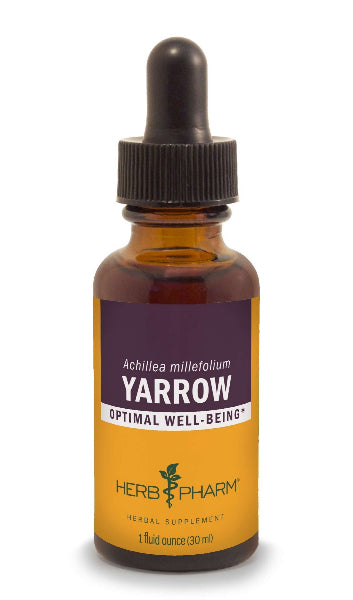 yarrow herb pharm