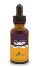 yarrow herb pharm