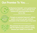 Nanogreens10 + Probiotic Strawberry