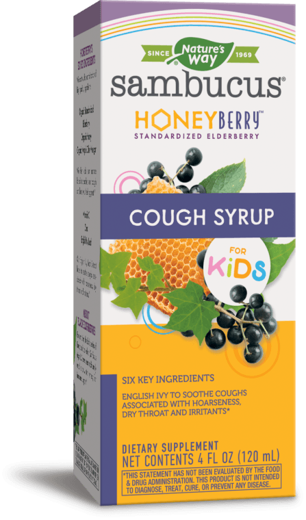 Sambucus HoneyBerry Cough Syrup for Kids 4 oz (Nature's Way)